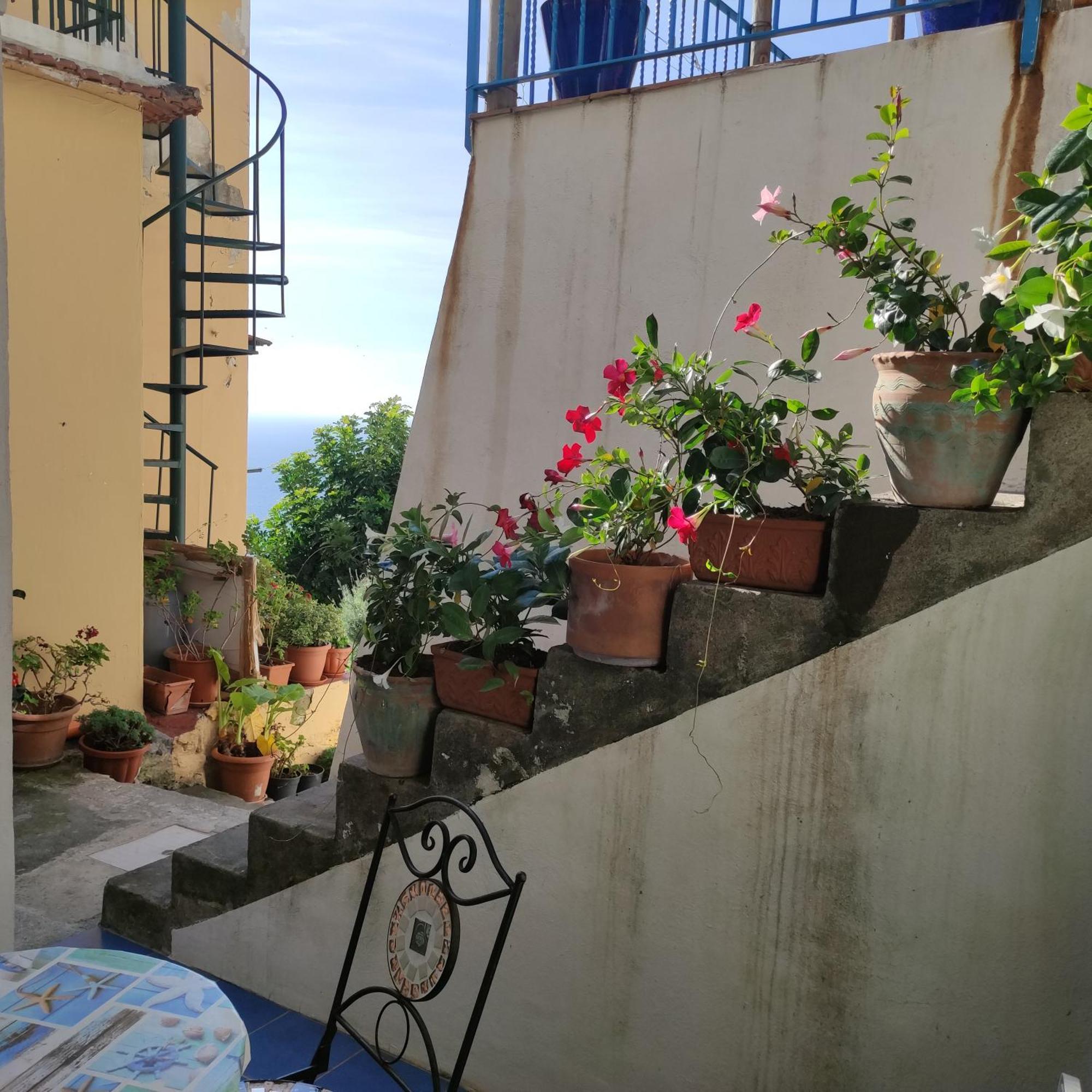 Rifugio Stellato Bed and Breakfast Conca dei Marini Eksteriør billede